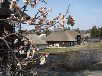 雪残る新潟の温泉にて