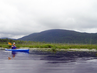 林家ＩＮ　アメリカ二楽