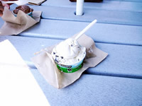 アメリカ　ミドルベリィにて02