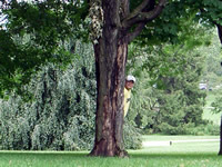 アメリカ　ミドルベリィにて05