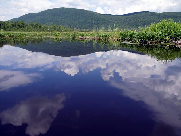 �A�����J�@�~�h���x���B�ɂ�