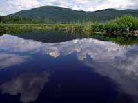 アメリカ　ミドルベリィにて06