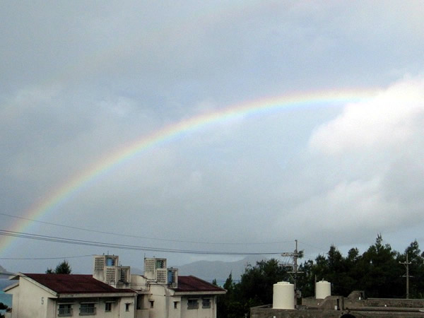 �X�R�[���̌�