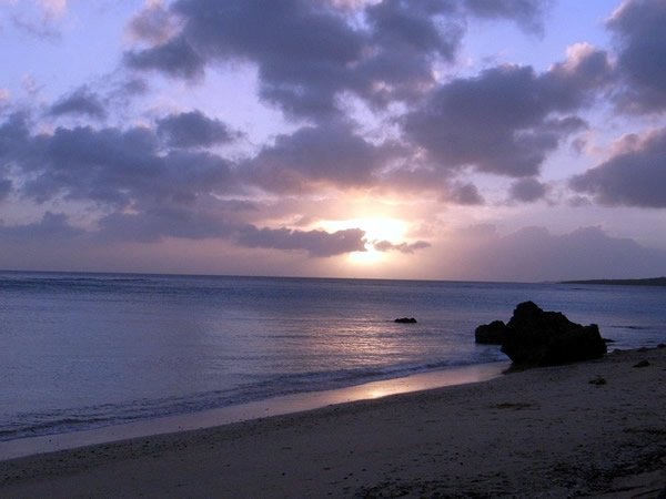 �C���[�W�摜