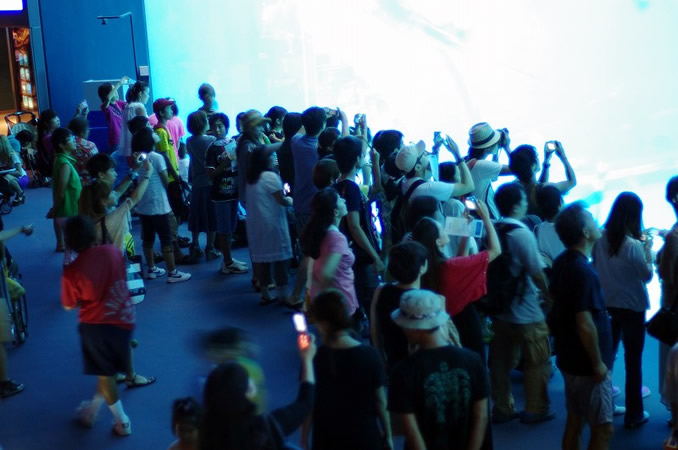 �C���[�W�摜