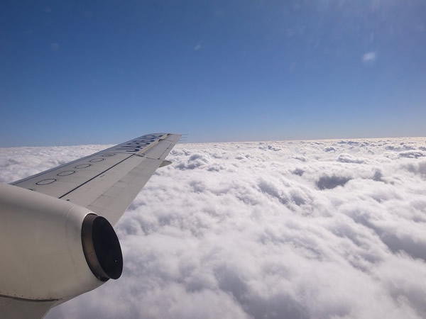 �C���[�W�摜