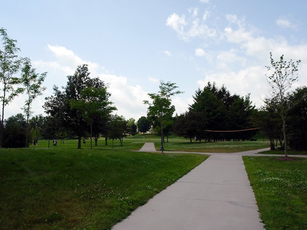 �C���[�W�摜