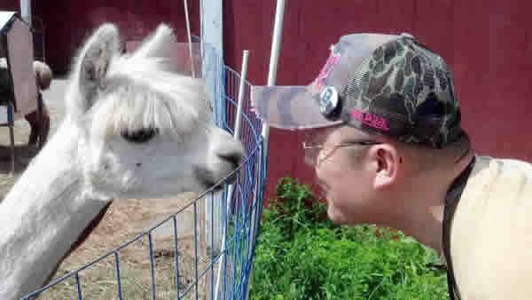 �C���[�W�摜